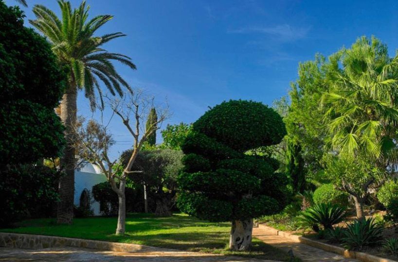 Villa Salomon - Ibiza Property